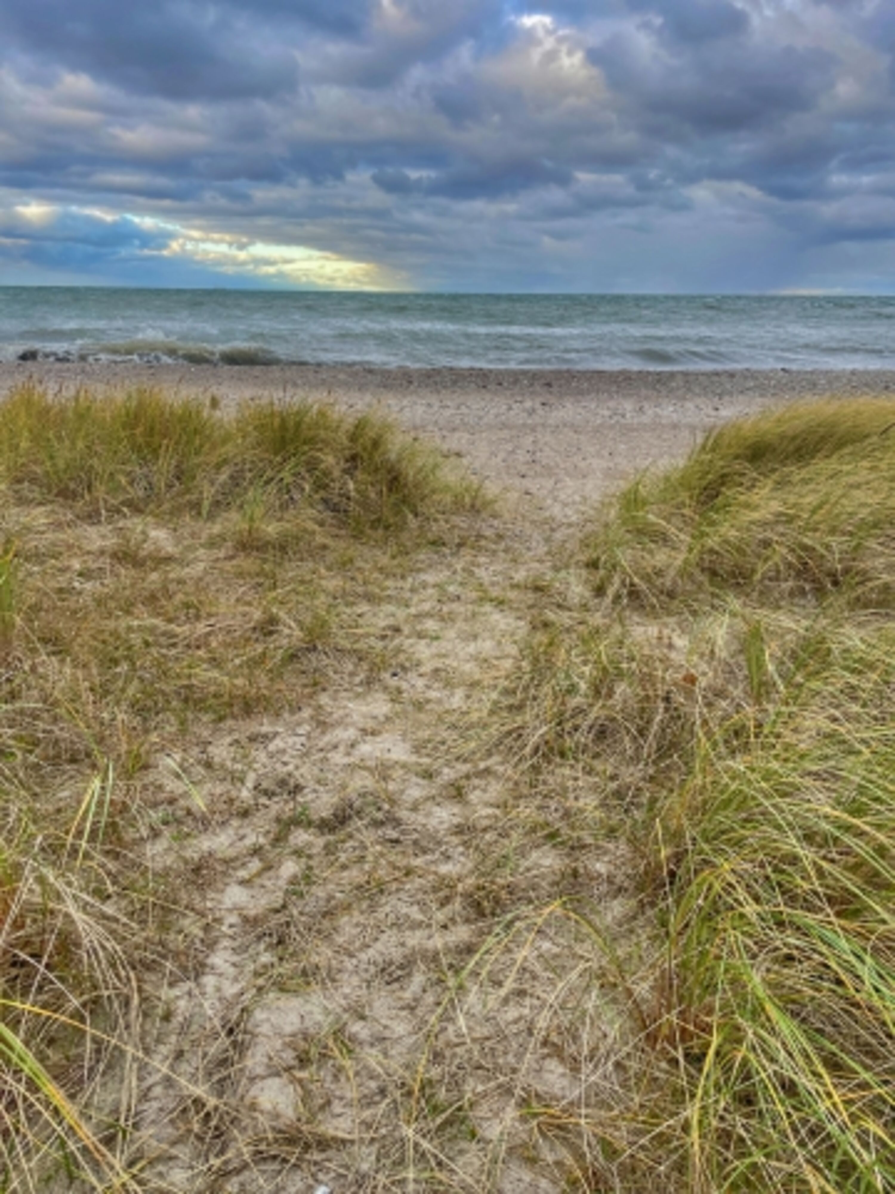 Strand