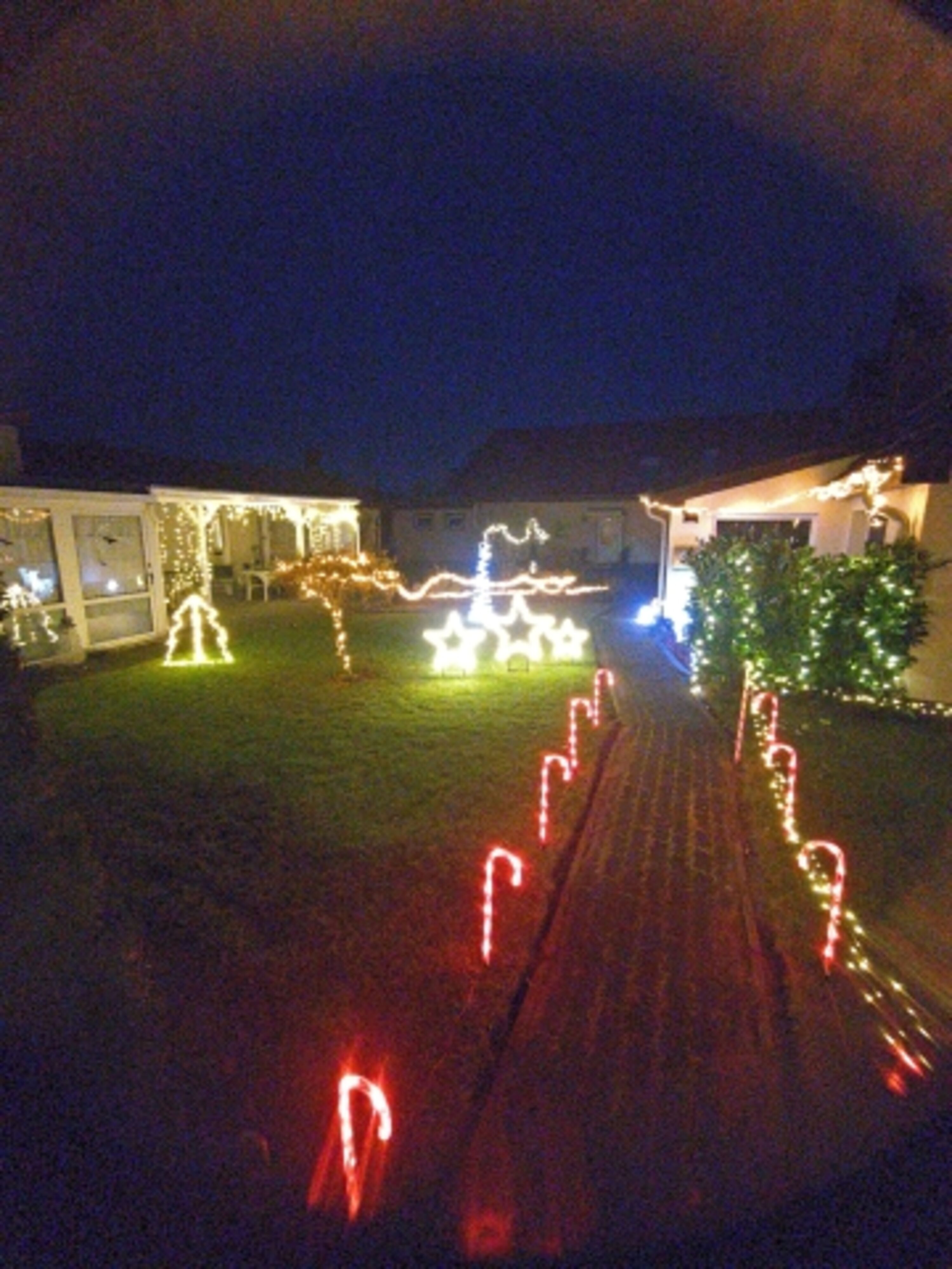 Bild 7