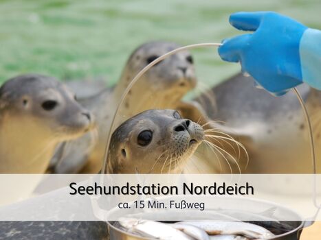 spannend für Groß und Klein