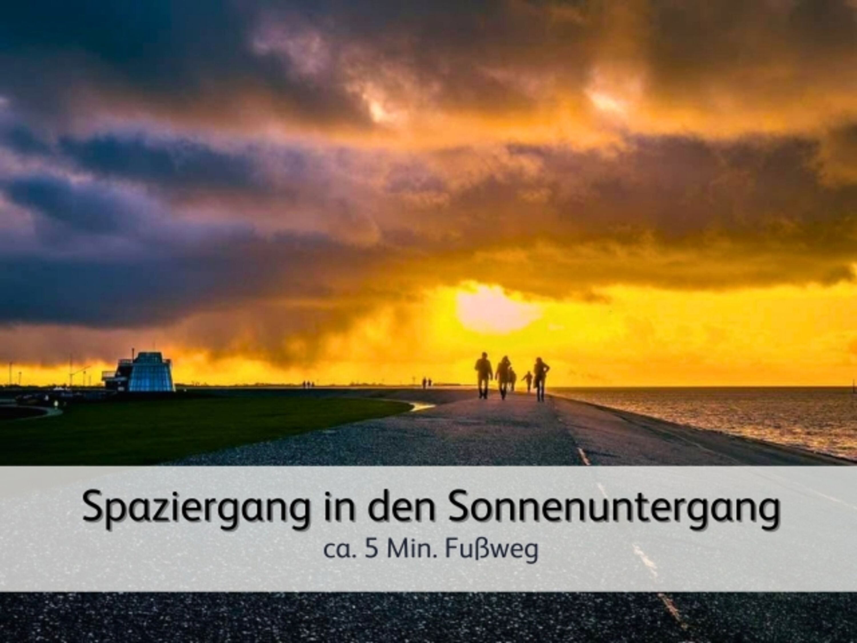 Spaziergänge über dem Deich