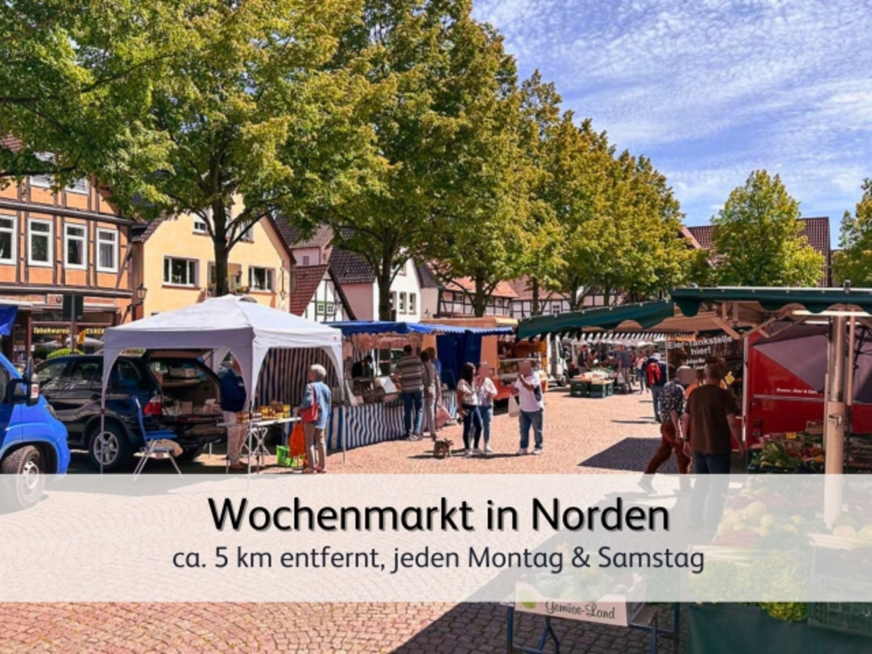 findet das perfekte Mitbringsel
