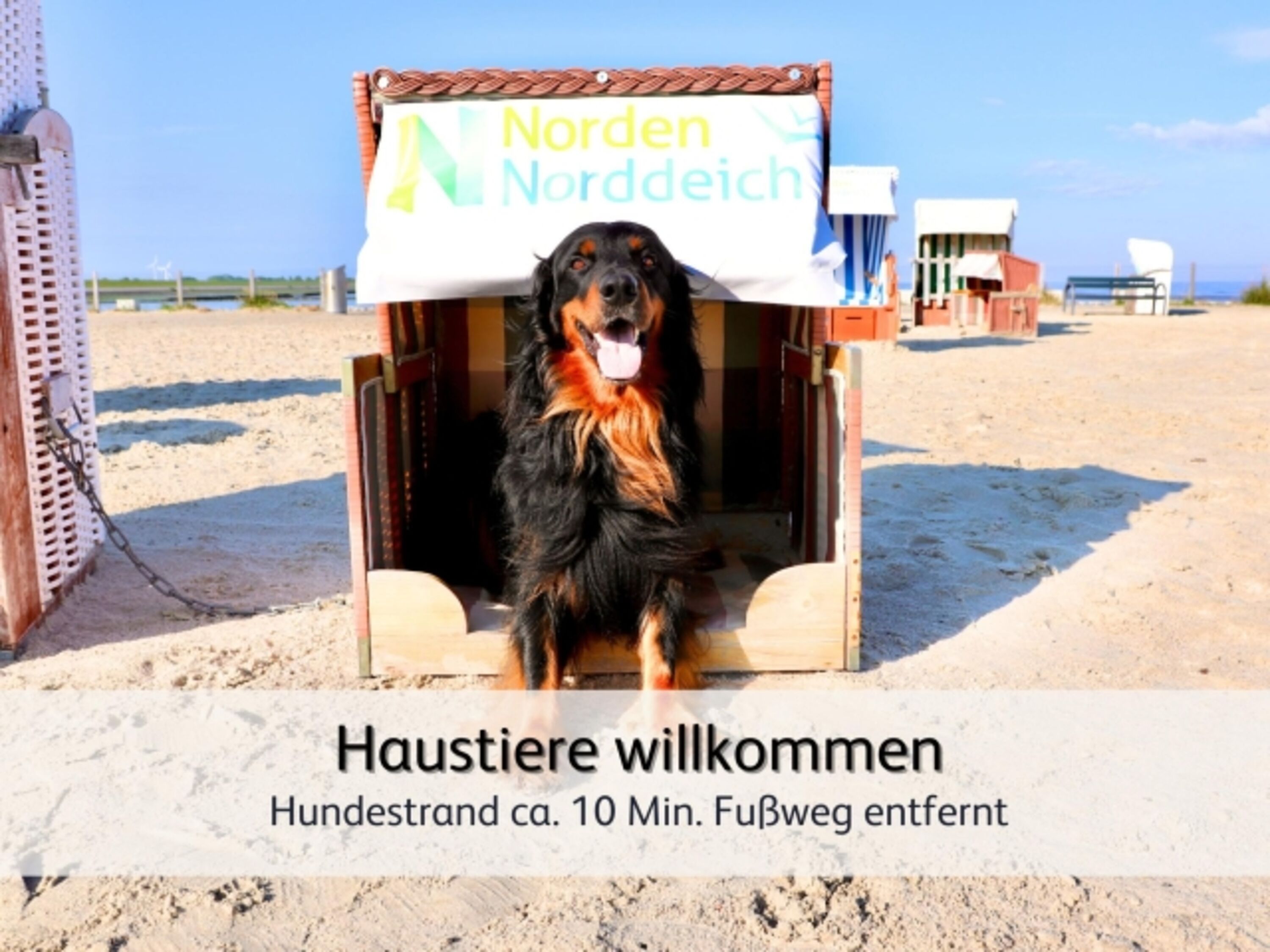 ideal zum Austoben