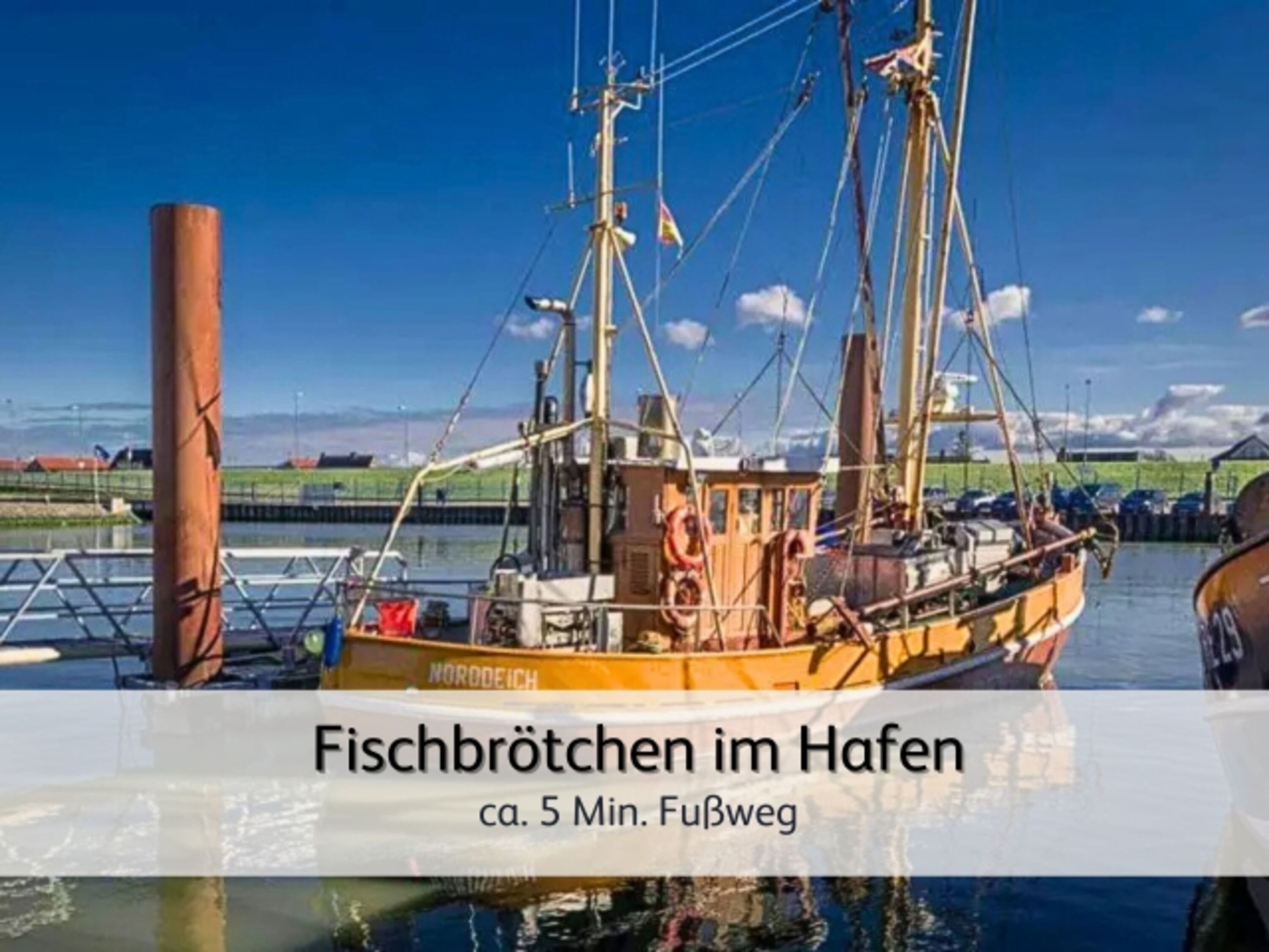 bestaunt die vielen historischen Fischkutter