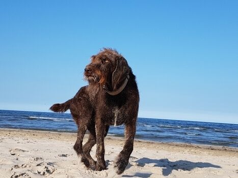 Spiel und Spaß am Strand
