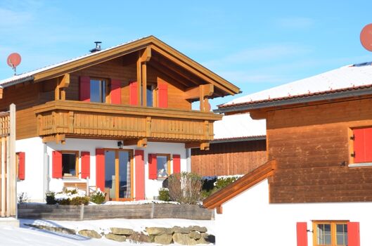 Waldhirsch im Winter