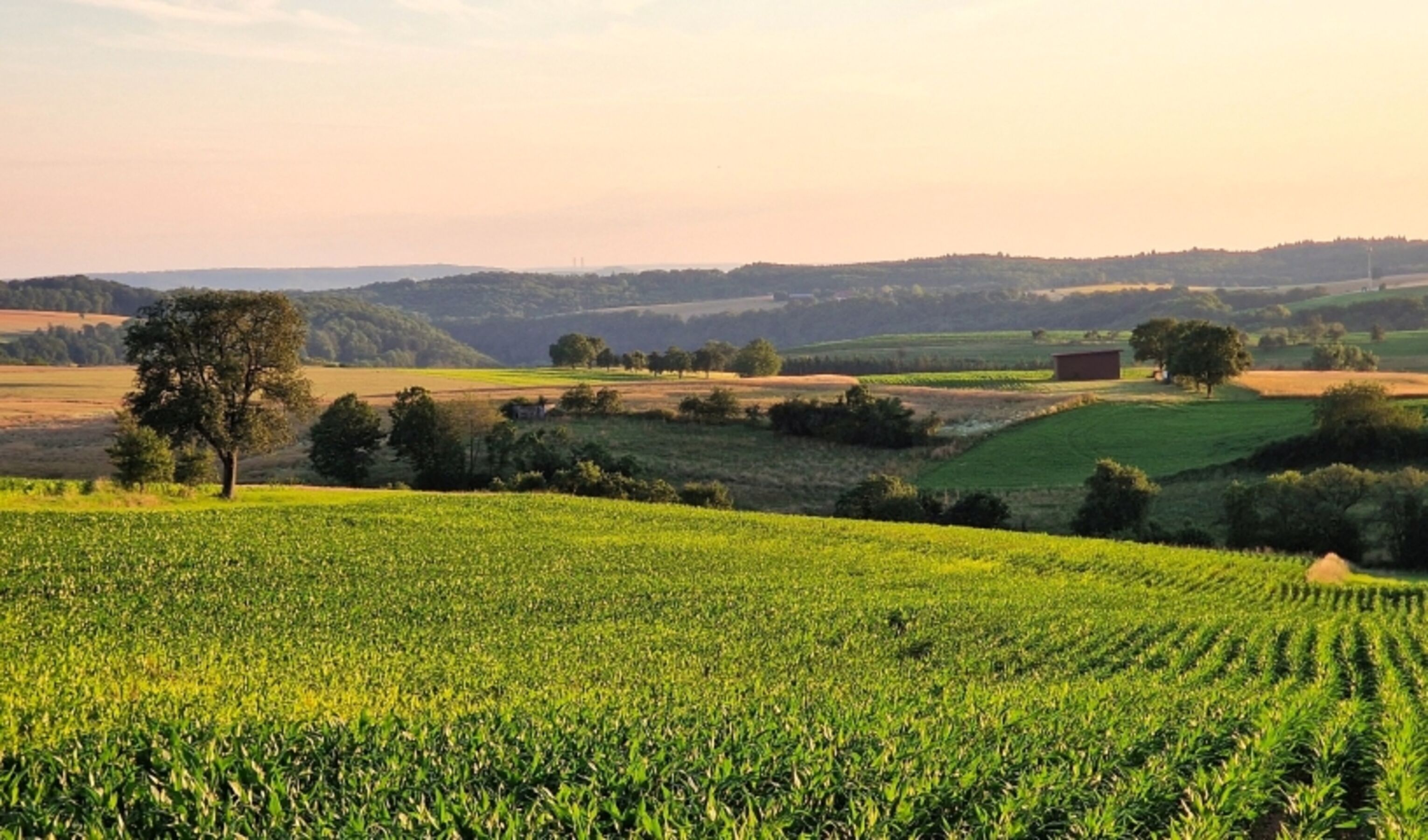 Weite hohenloher Landschaft