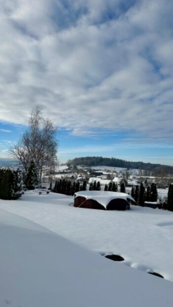 Wintereinblick