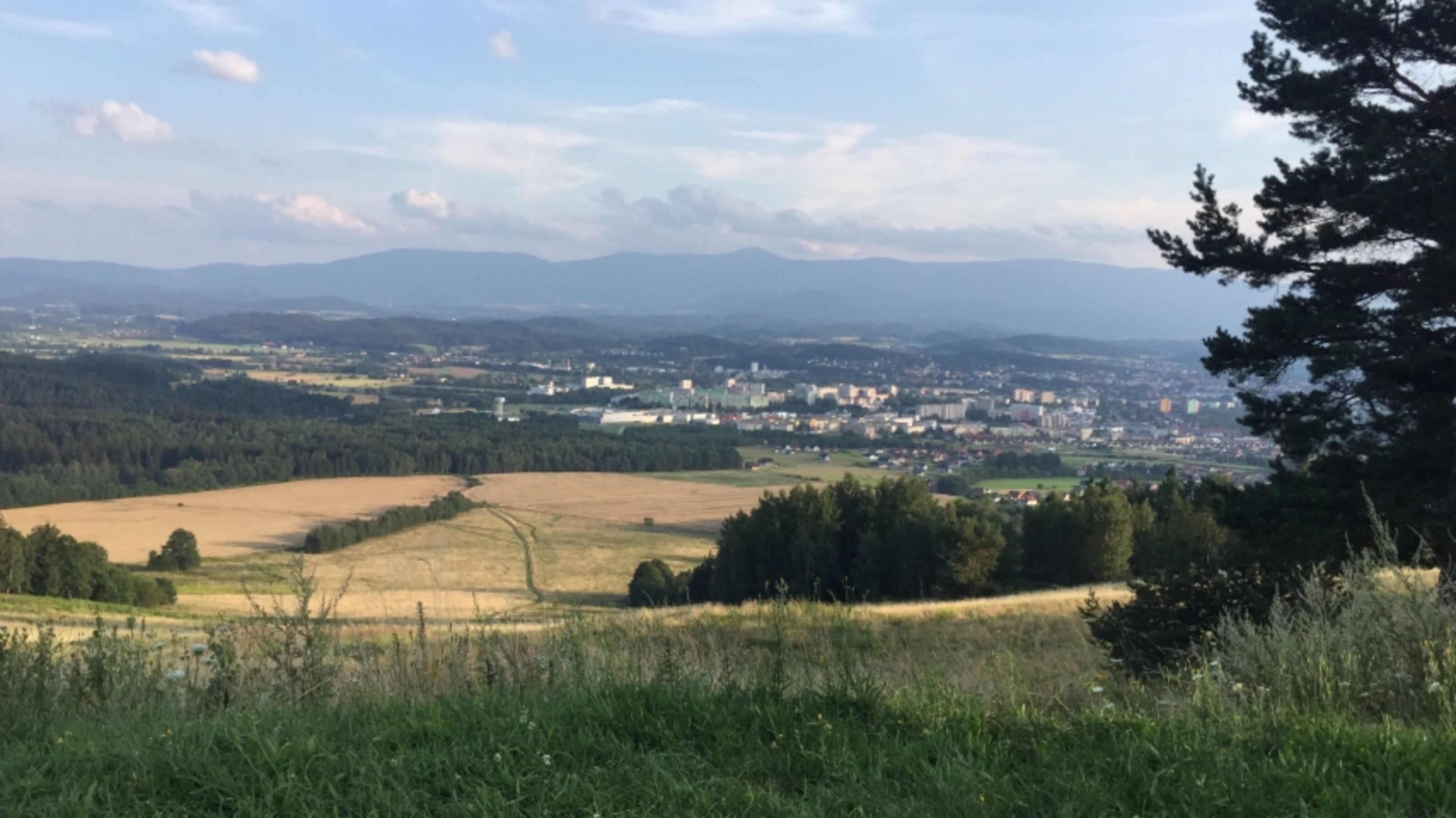 Aussicht vom Segelflugplatz ca. 1500 Meter vom Ferienhaus