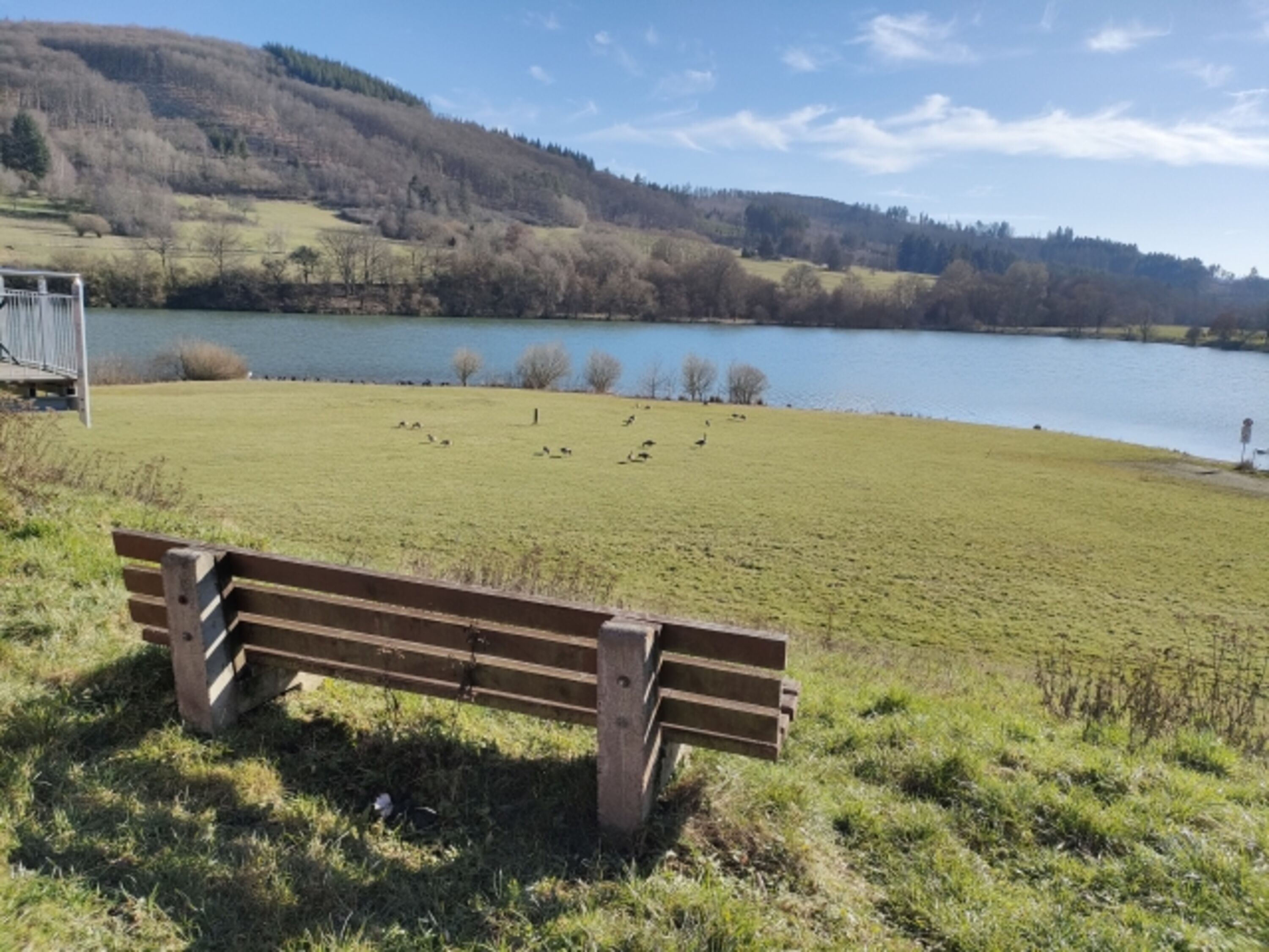 Rundweg um den See