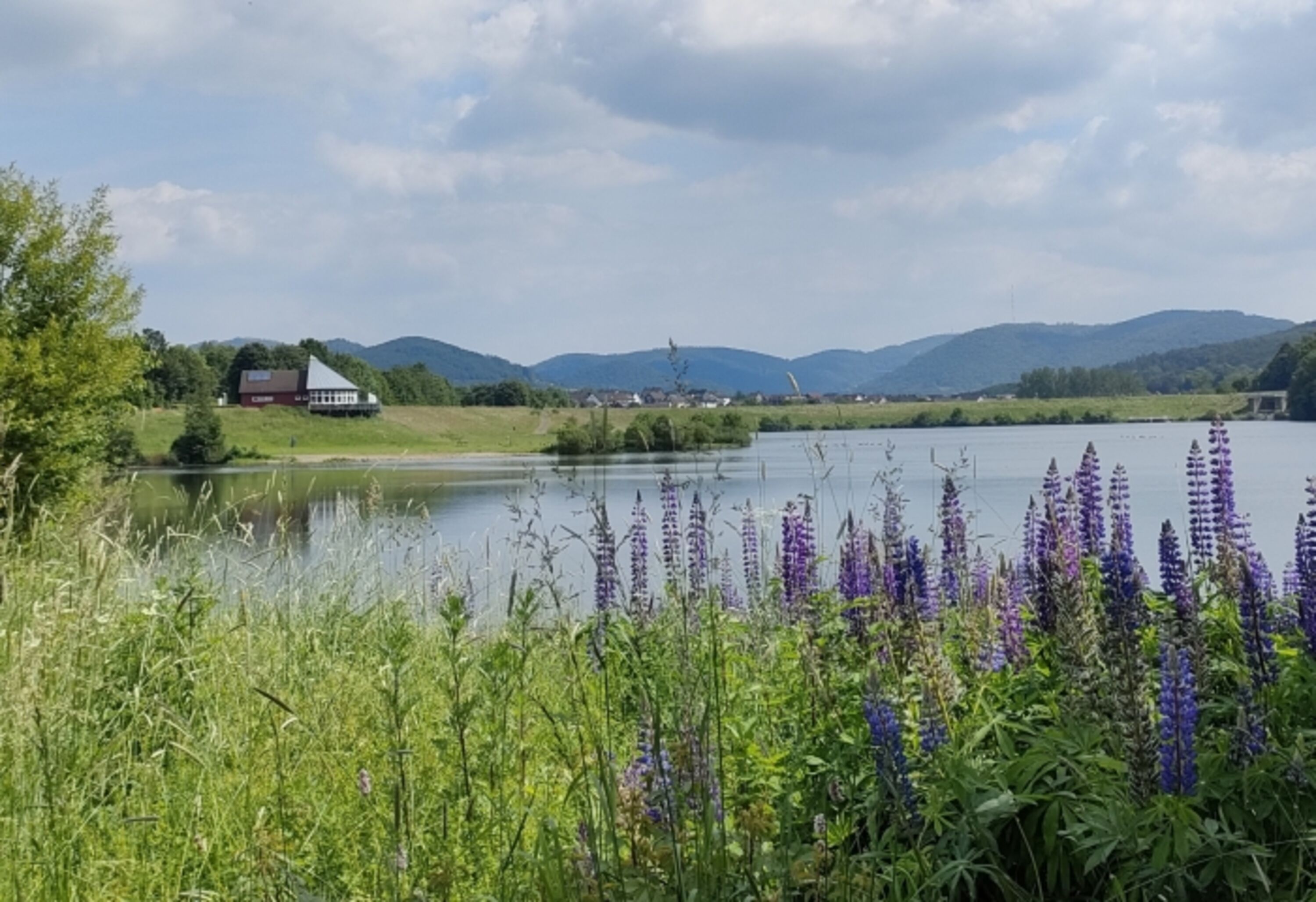 Blick über den See