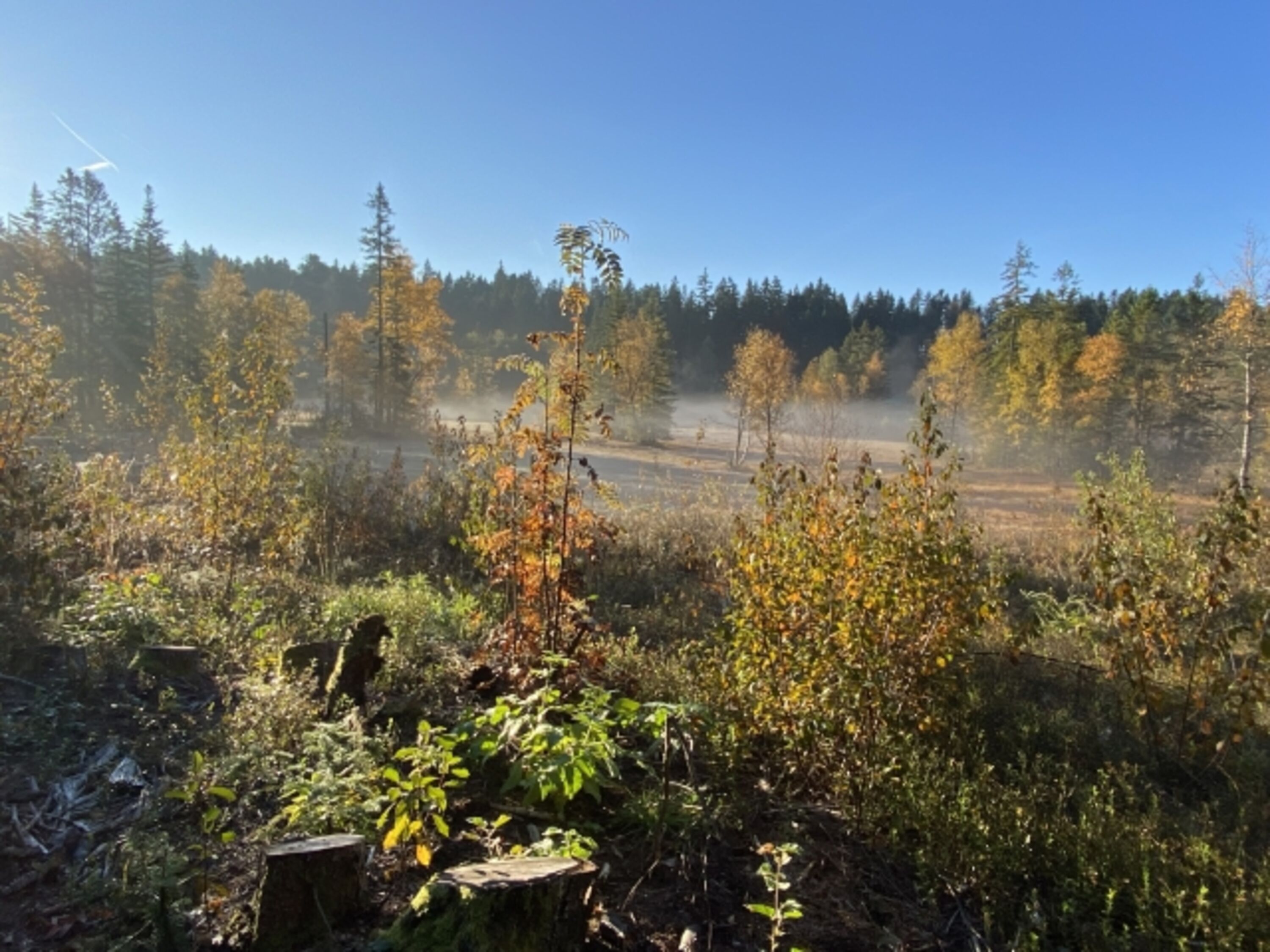 Bild 19