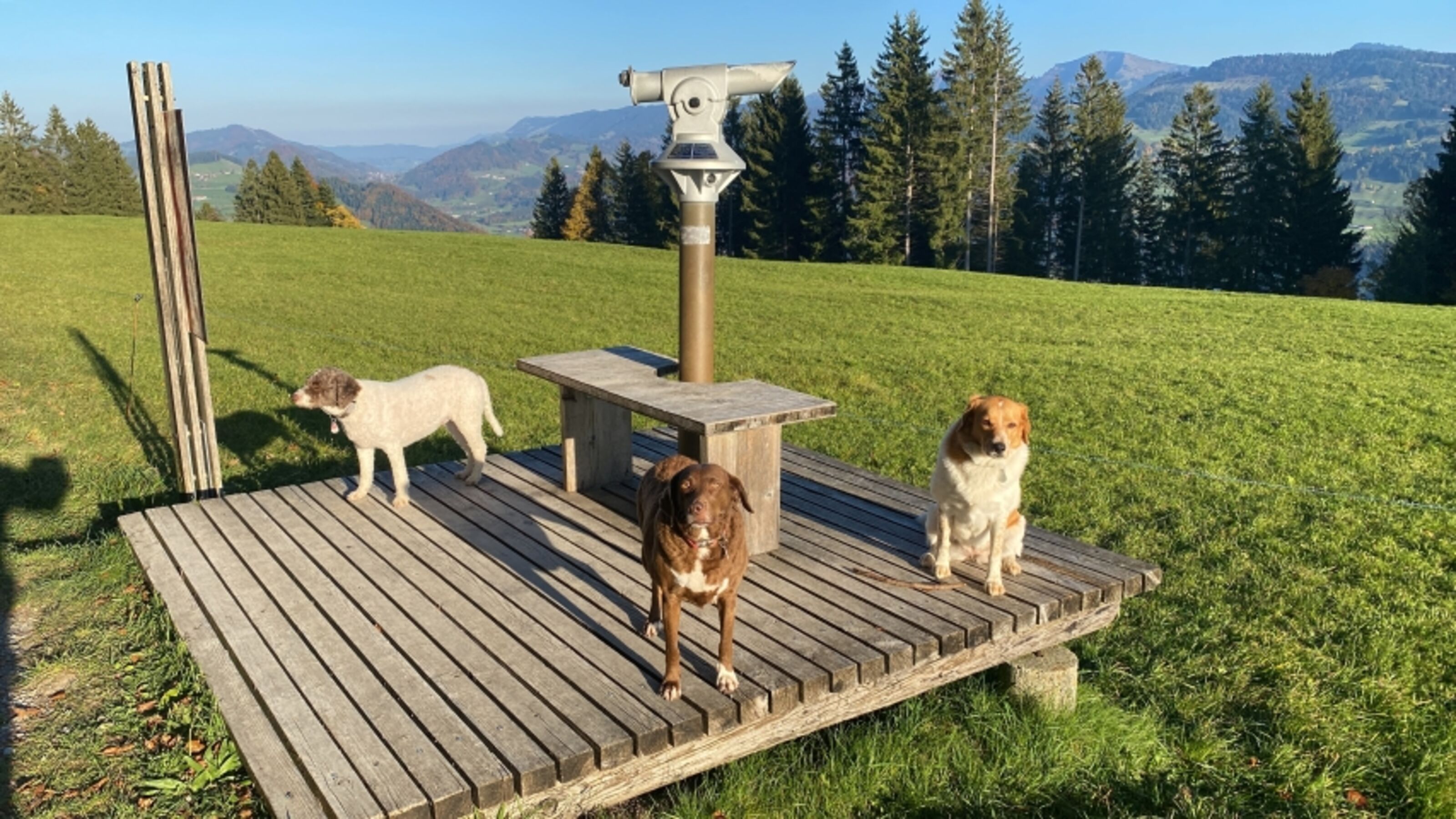 Bild 17