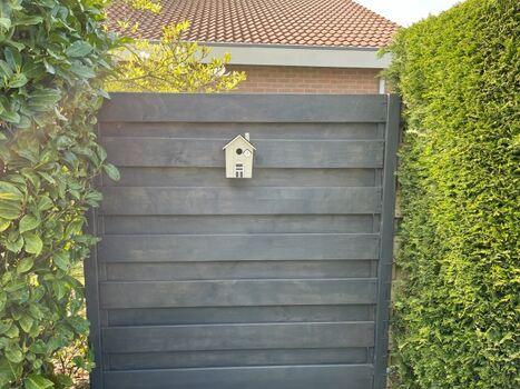 Auch Vögel brauchen ein Zuhause