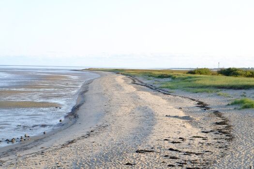Sandstrand am Knockster Tief