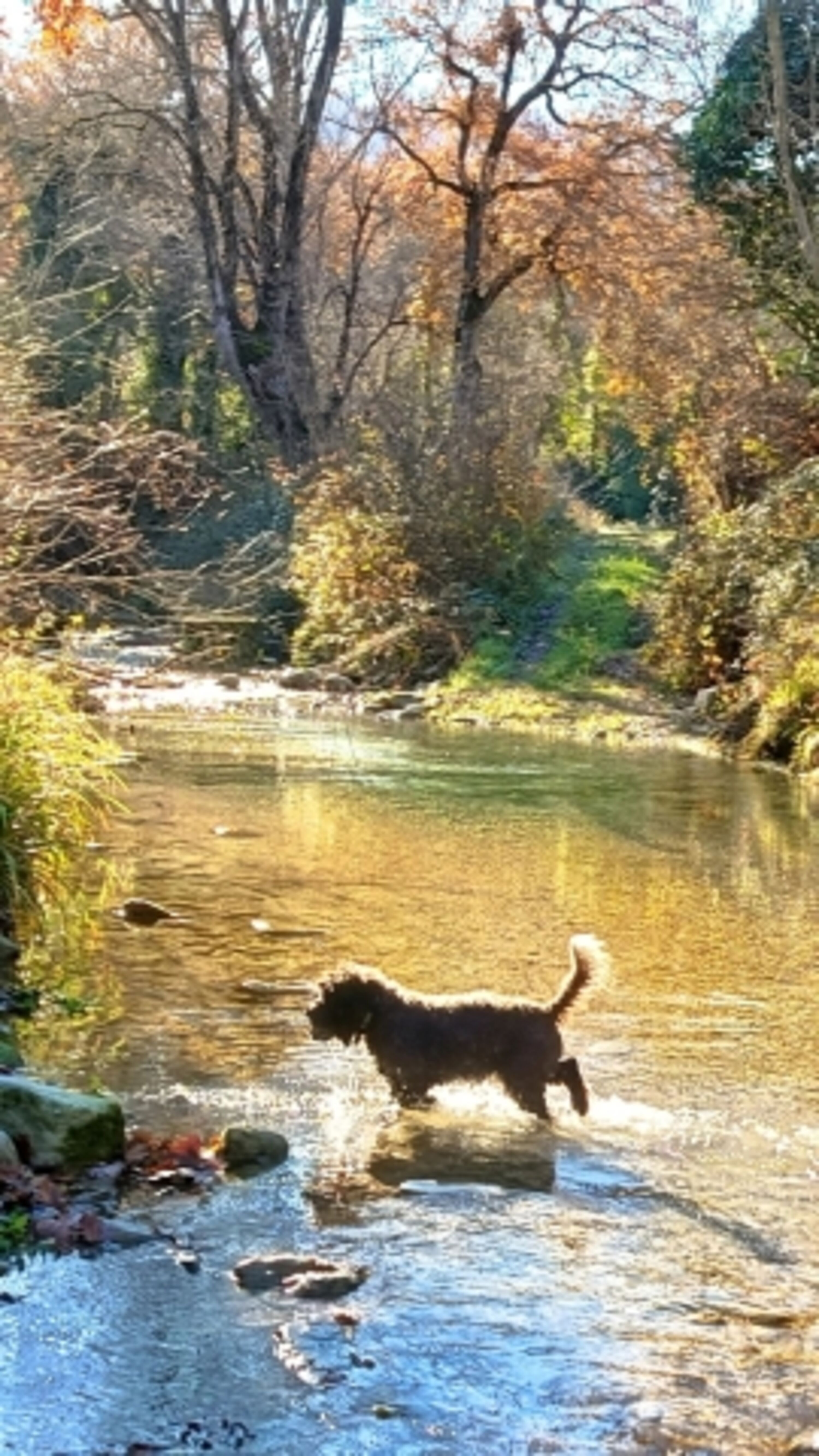 Bild 13