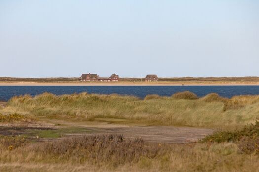 Ausblick aus dem Wohnzimmer mit Meer und Dünenblick