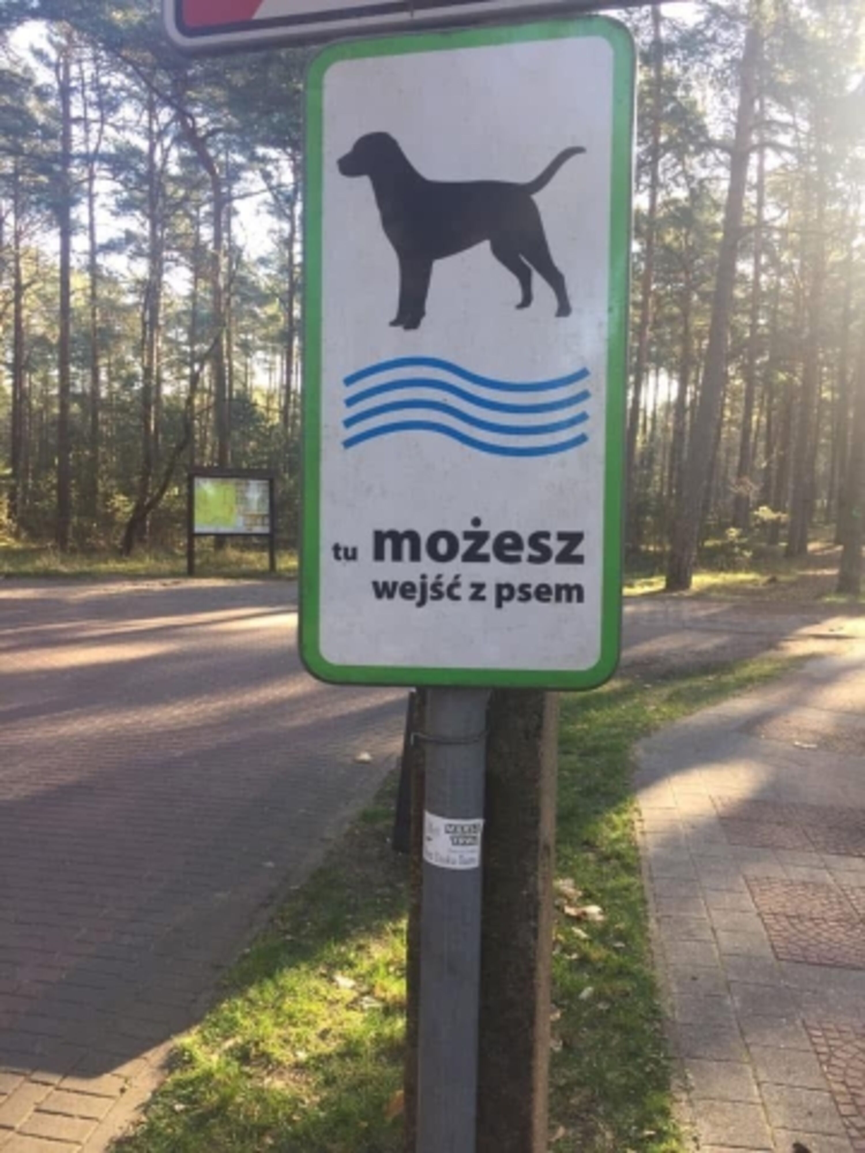 Bild 25