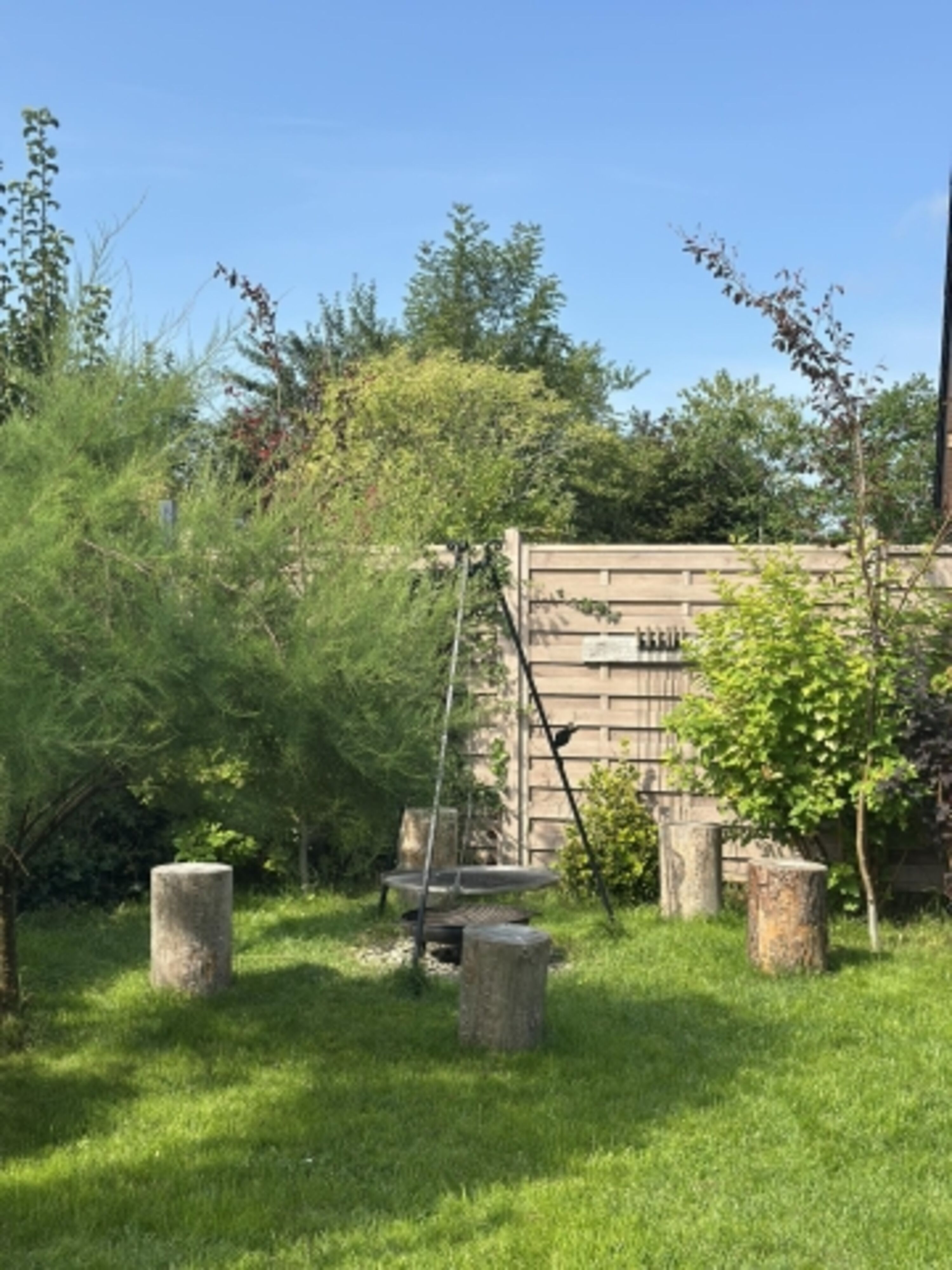Bild 19