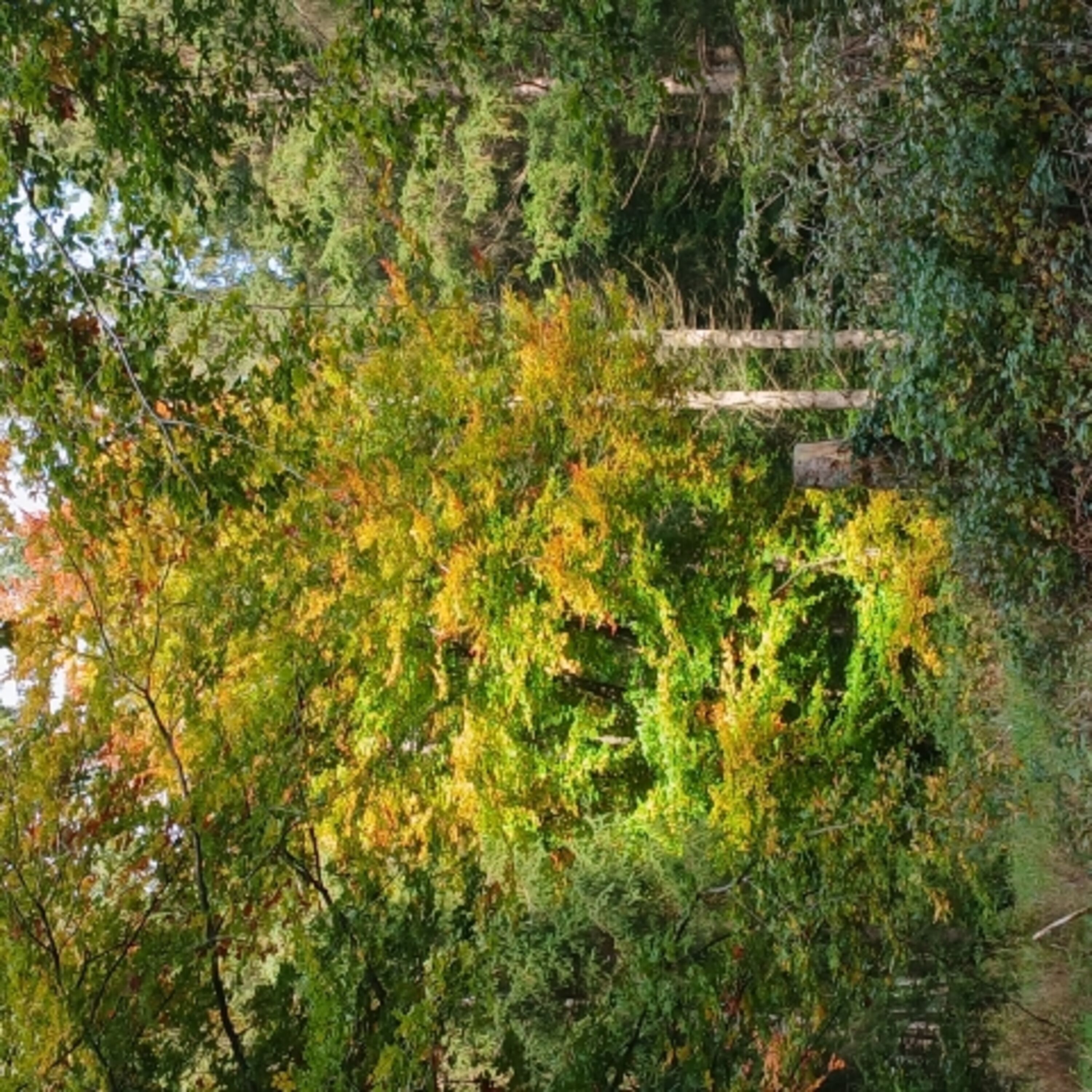Umgebung