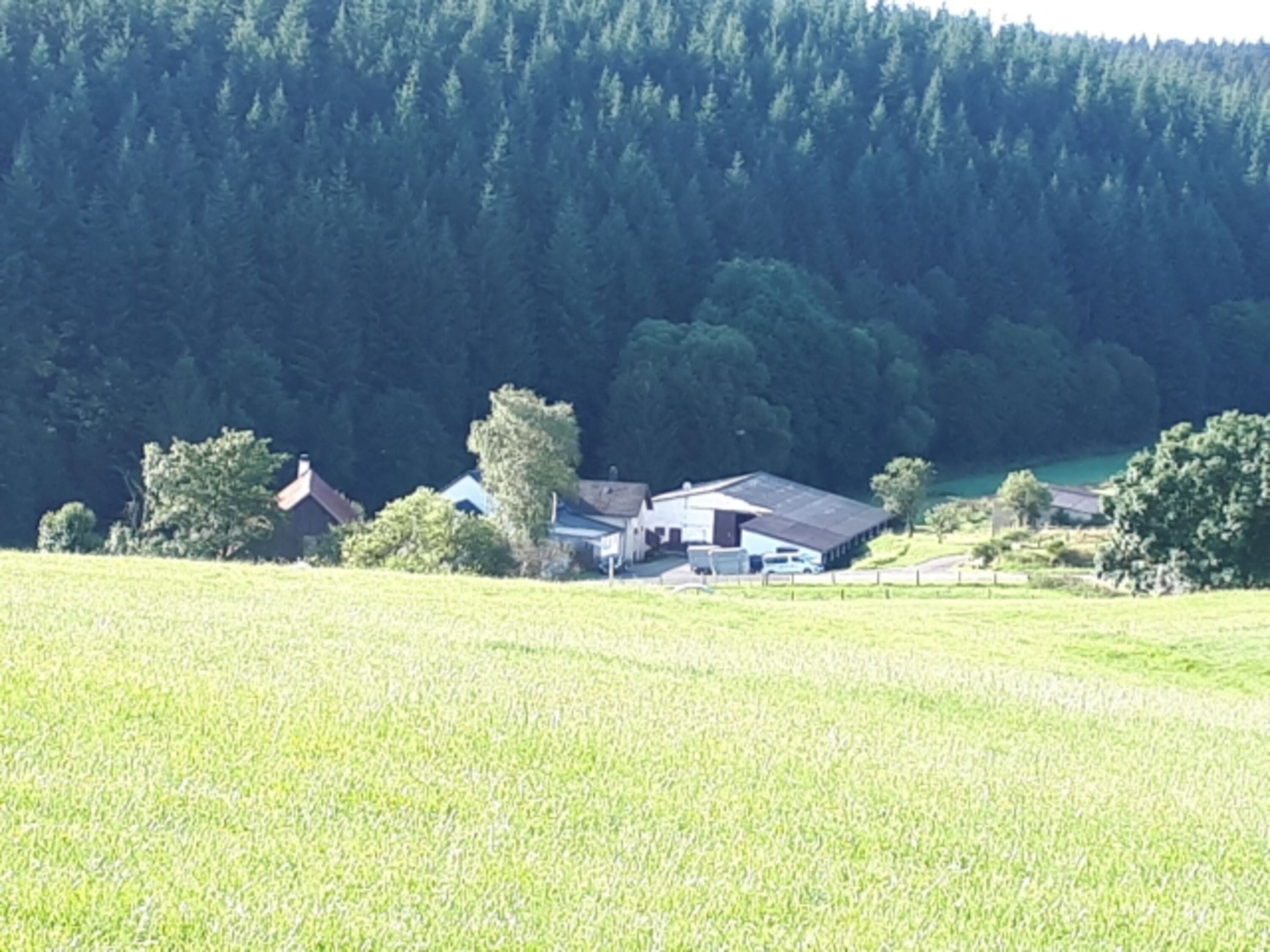 Blick von Hügel auf den Hof