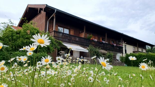 Ferienwohnungen Stecher Gartenansicht