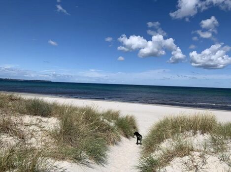 Die Schaabe...unser Lieblingsstrand