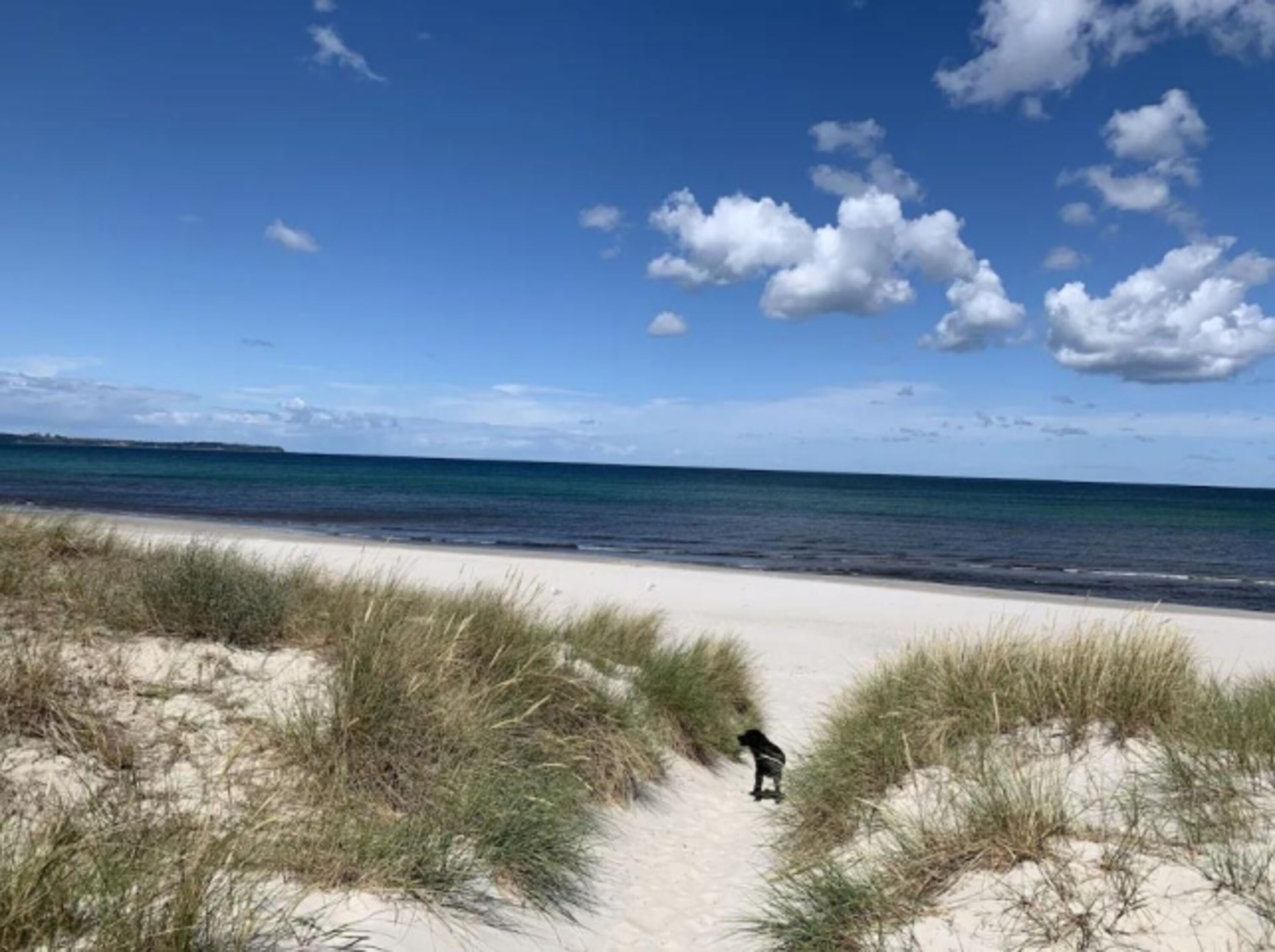 Die Schaabe...unser Lieblingsstrand