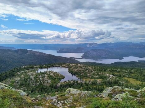 Blick vom Venelifjell