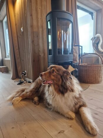 Gemütlicher Holzofen