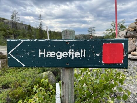 Wanderwege direkt vom Ferienhaus