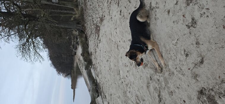 Bade- und Buddelspaß