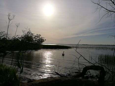 Die Natur kommt zur Ruhe