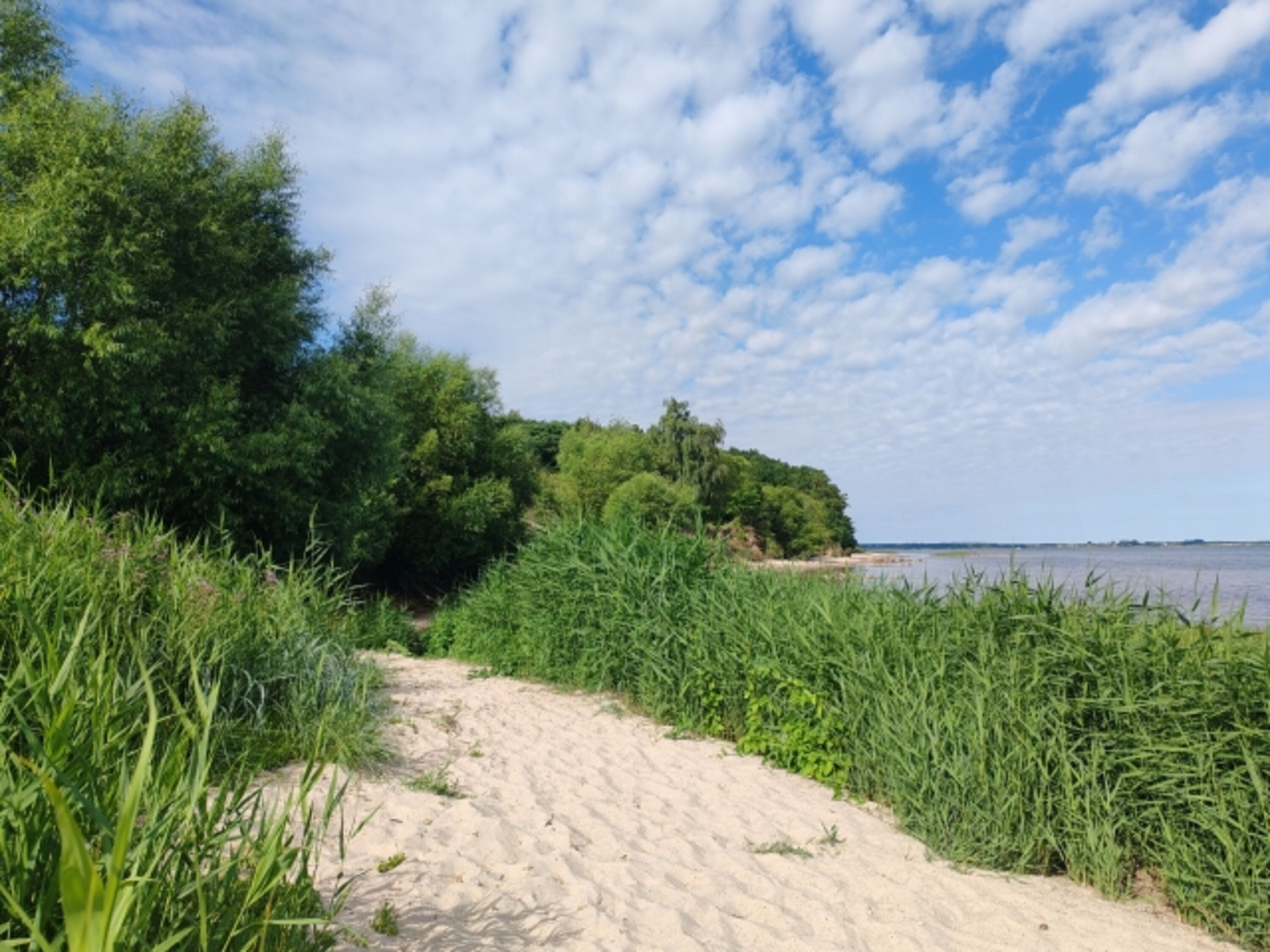 Strand von Loissin