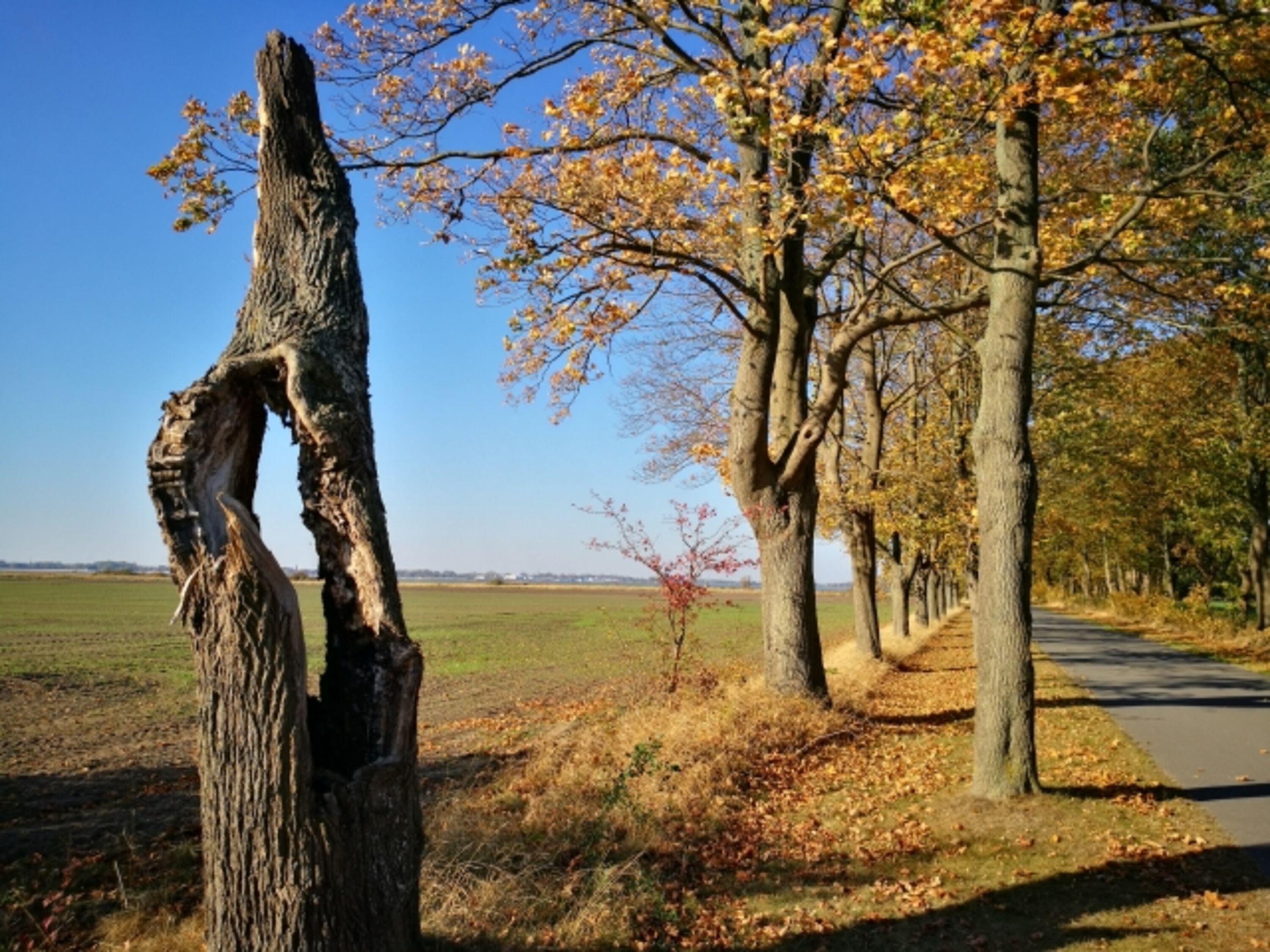 Zauberhafter Herbst