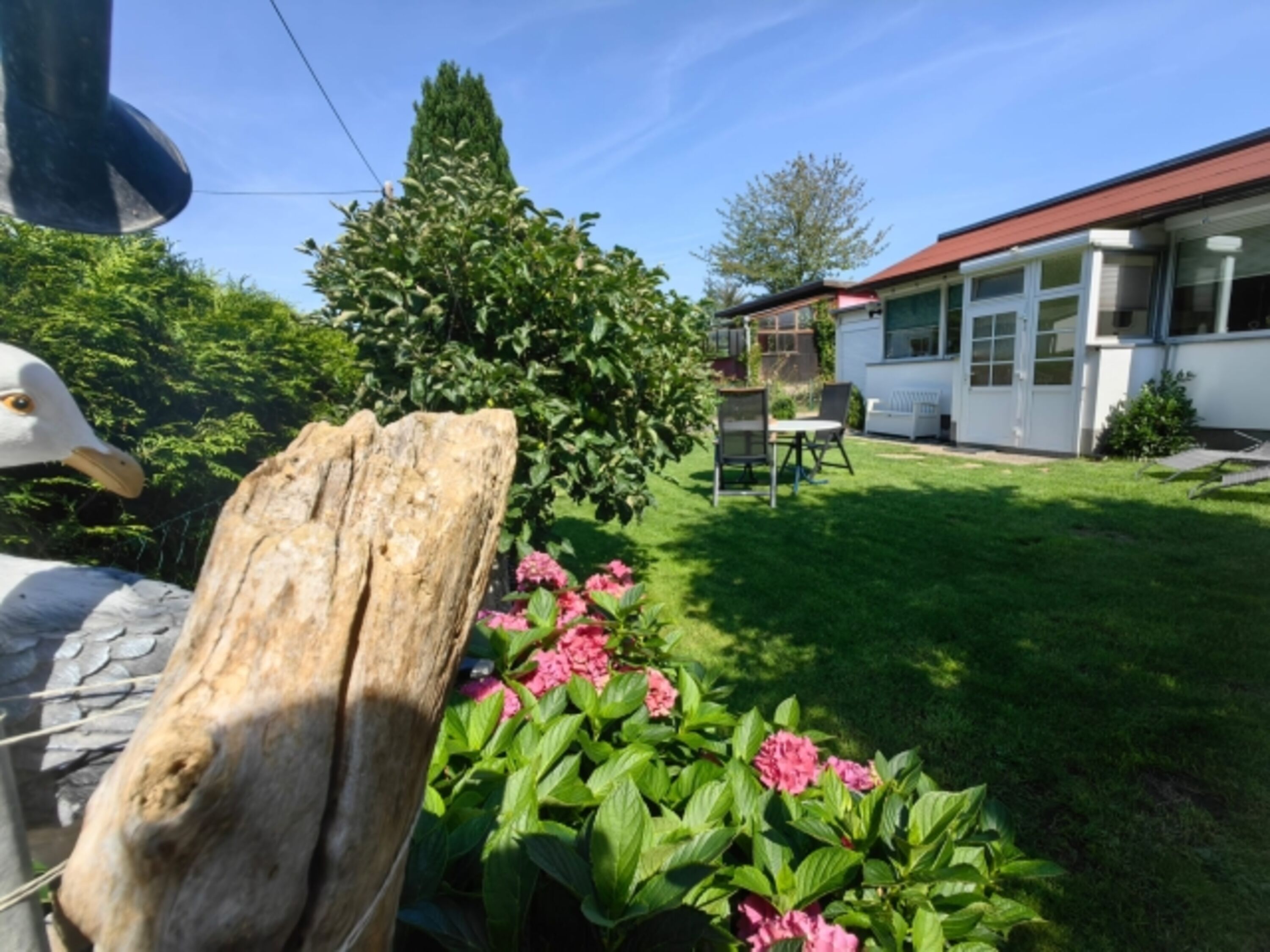 Blick in den Garten