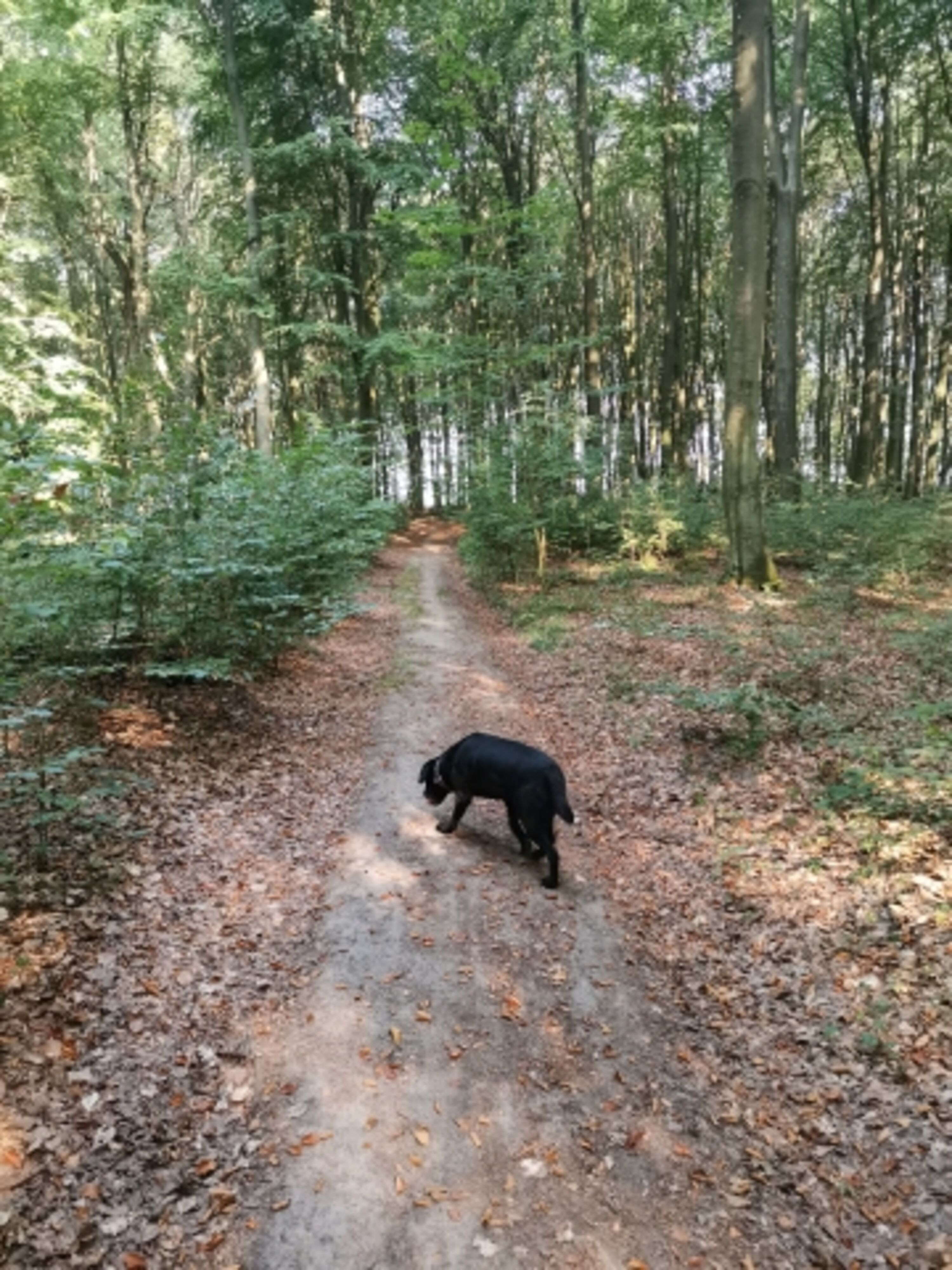 Schnüffelrunden