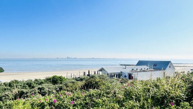 Deichblick statt Bildschirm