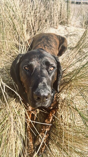 Glück steht ihm gut
