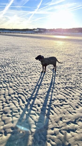 Nur wir und der Strand