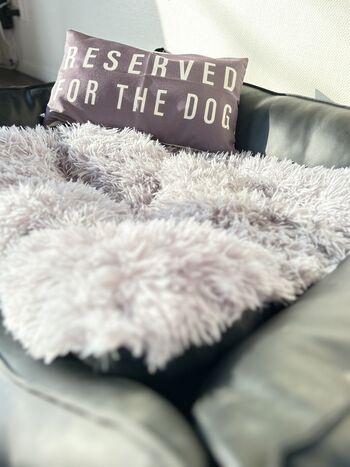 Ein Lieblingsplatz zum Einkuscheln und Träumen