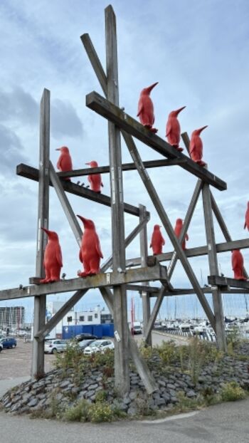 Die heimlichen Stars des Hafens