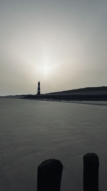 Eine zauberhafte Morgenstimmung am Strand
