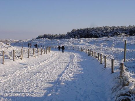Ganz speziell: Dünenlandschaft im Schnee