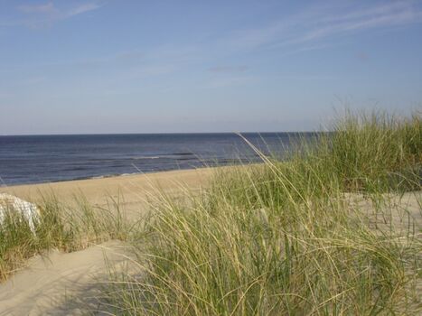 Kilometerlanger Strand und Dünen