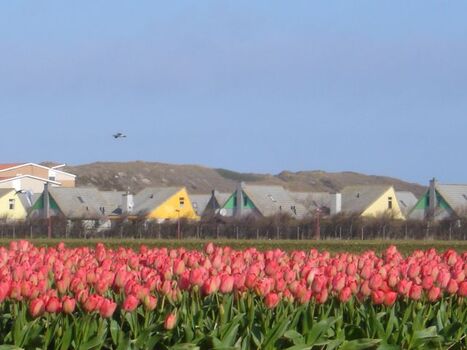 Blick auf den Park Strandslag