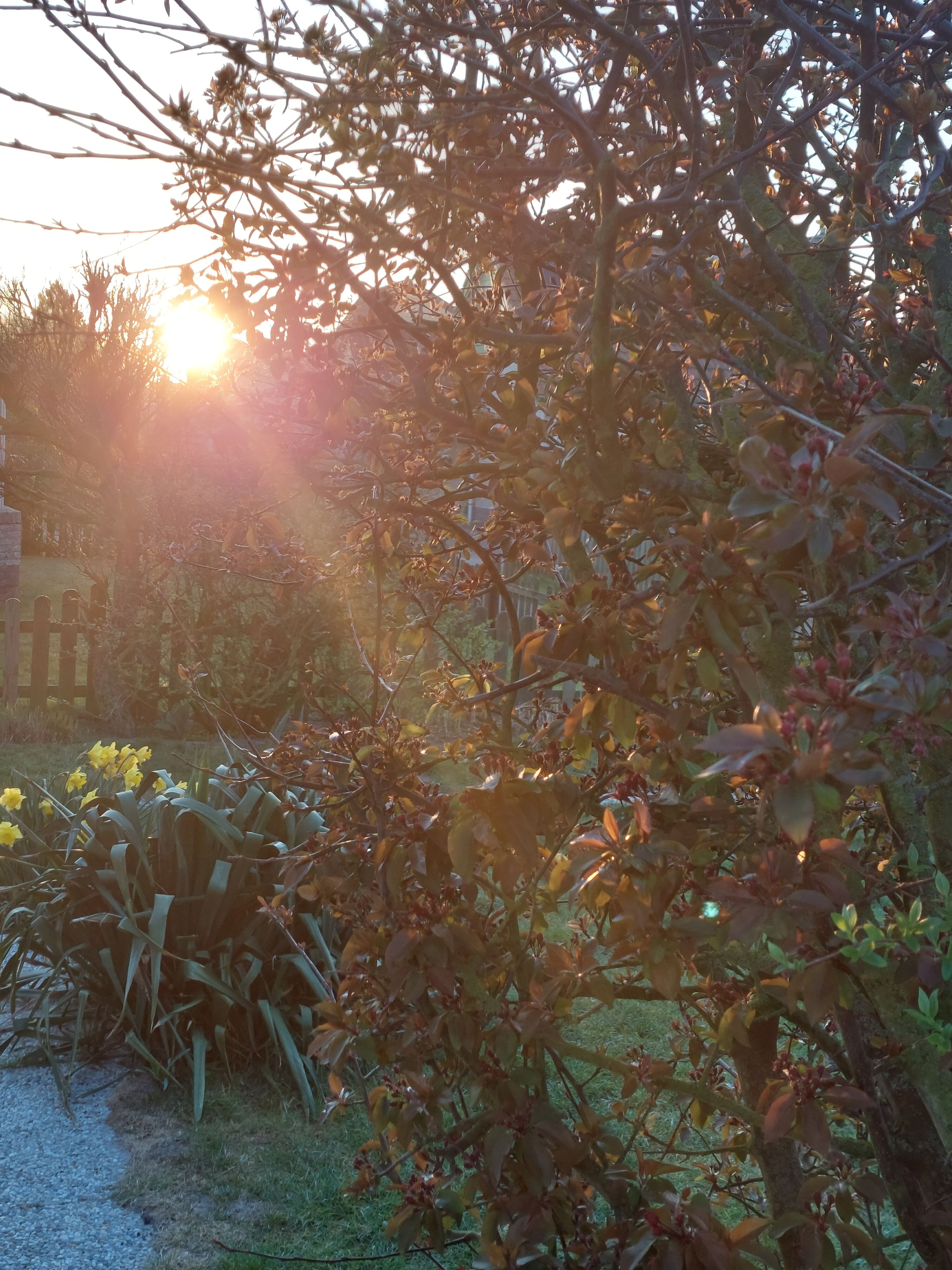 Sonnenaufgang von der Terrasse aus