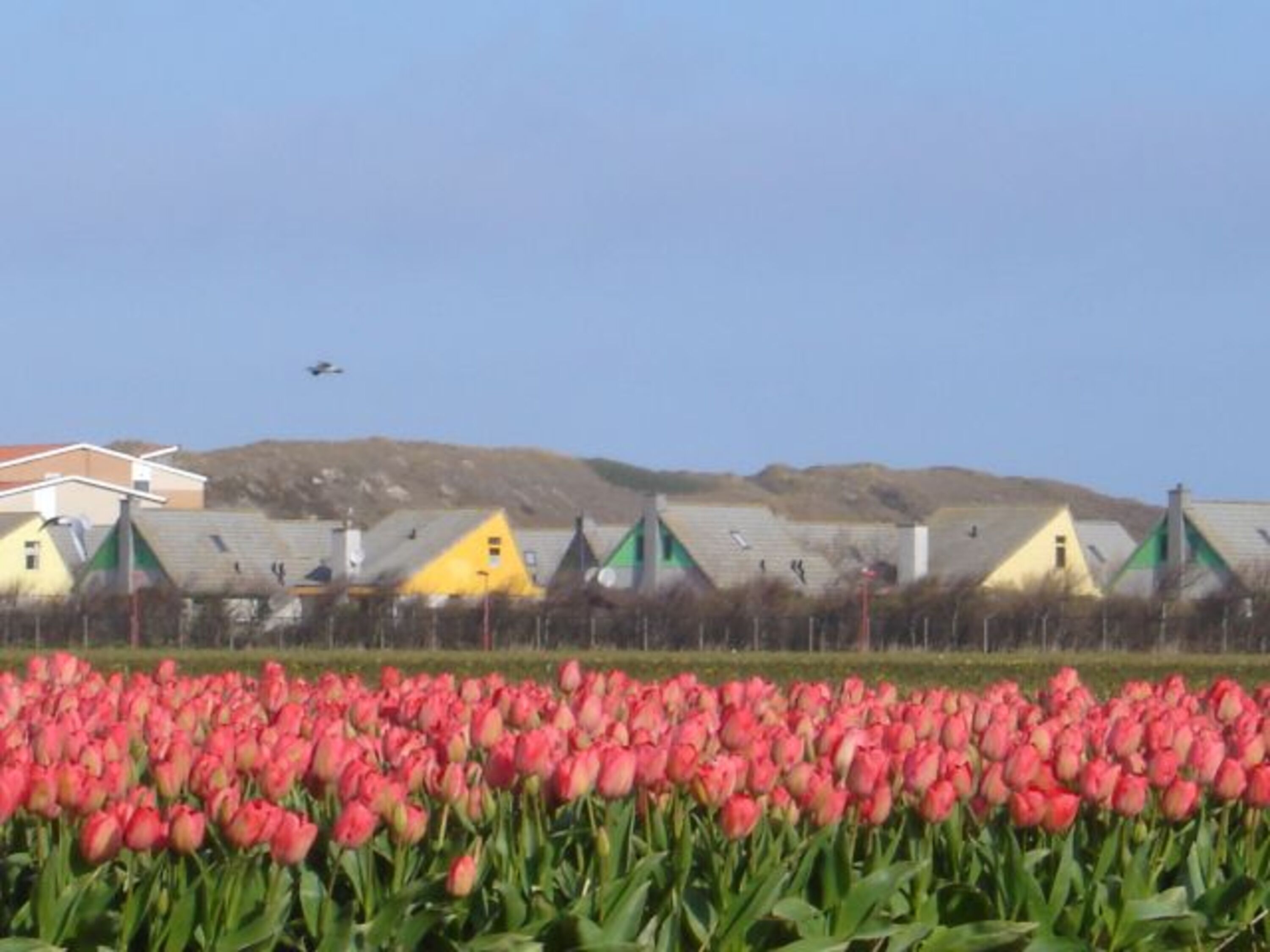 Blick auf den Park Strandslag