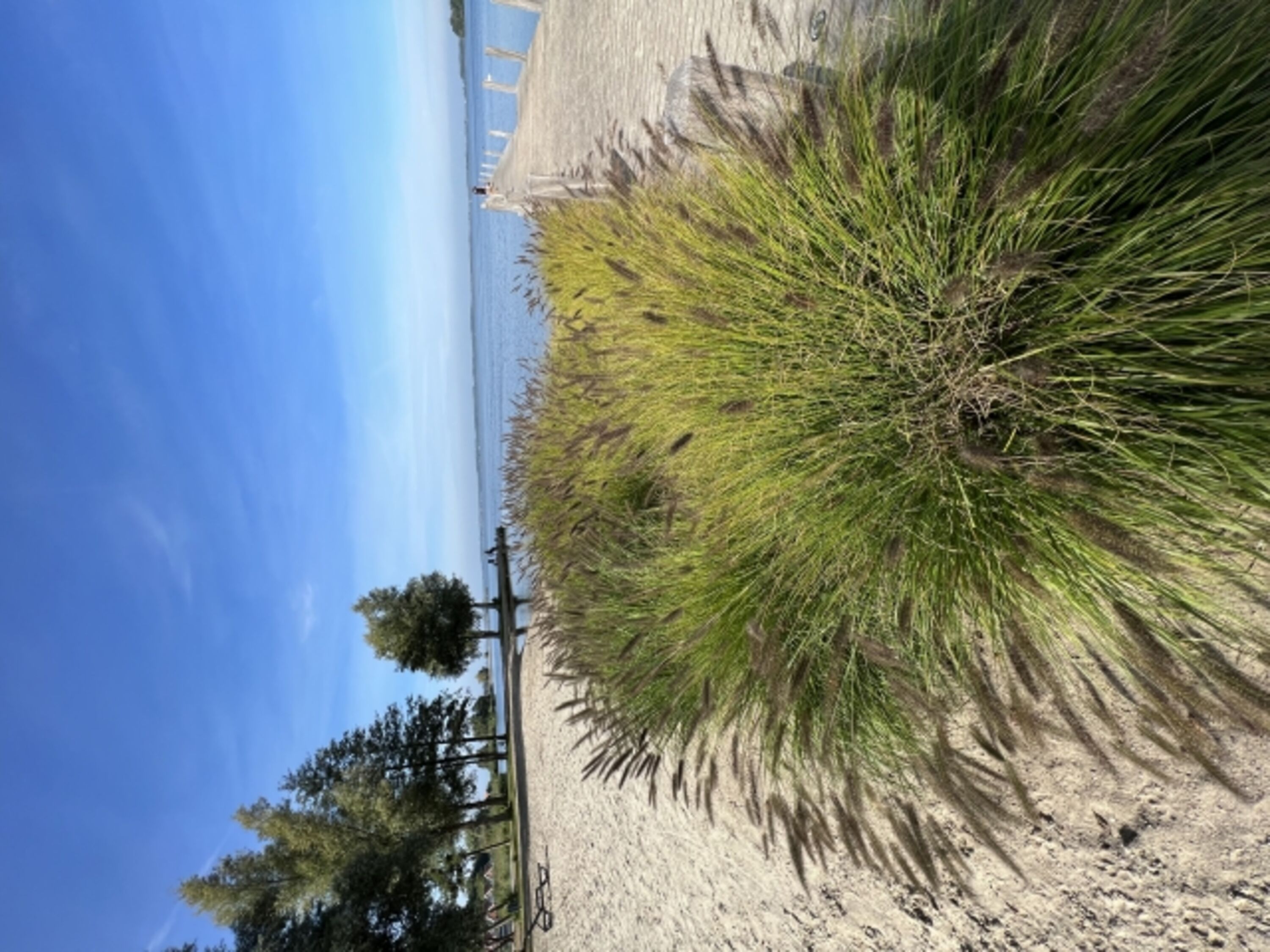 Strandbereich