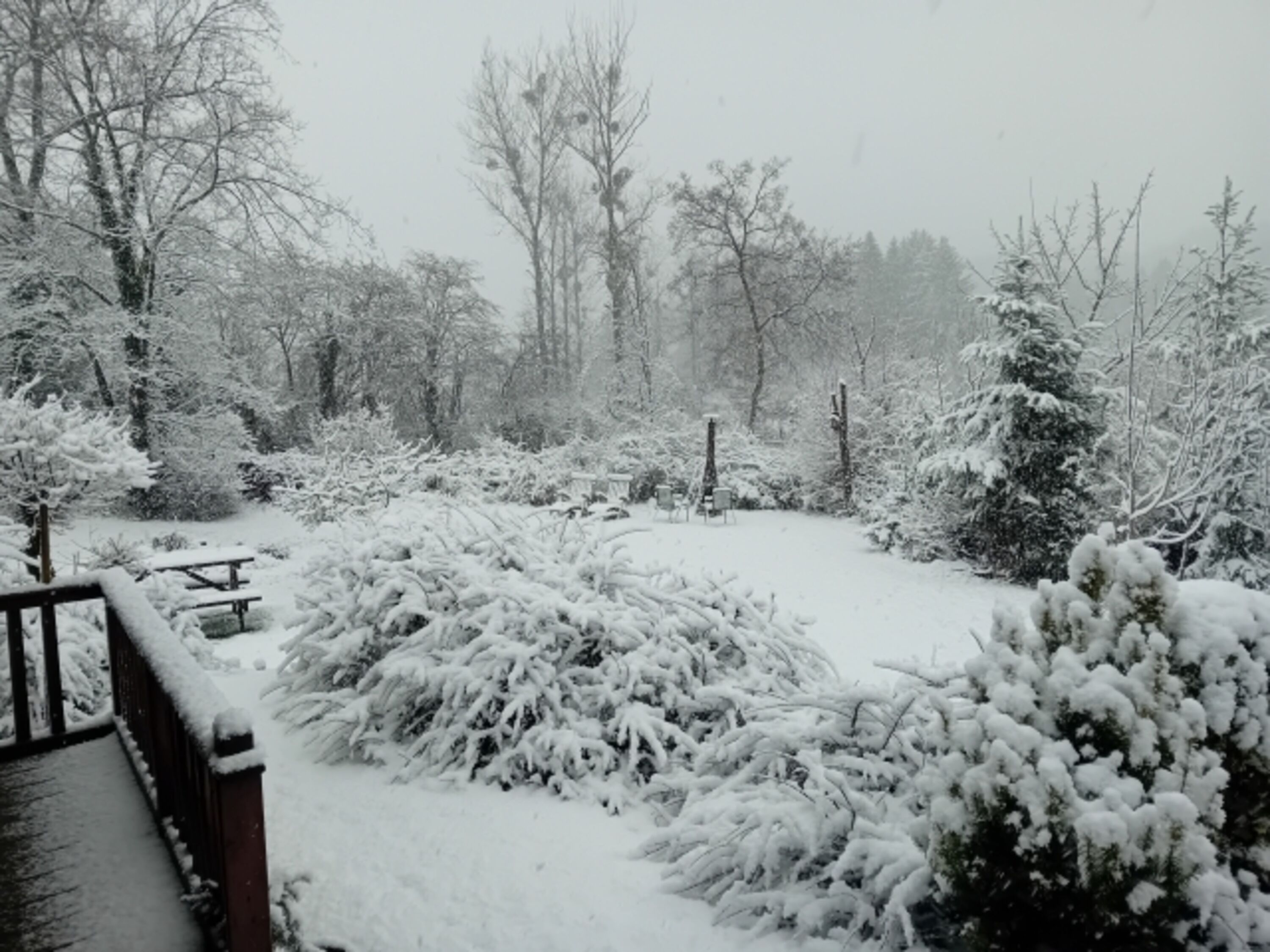 Bild 19