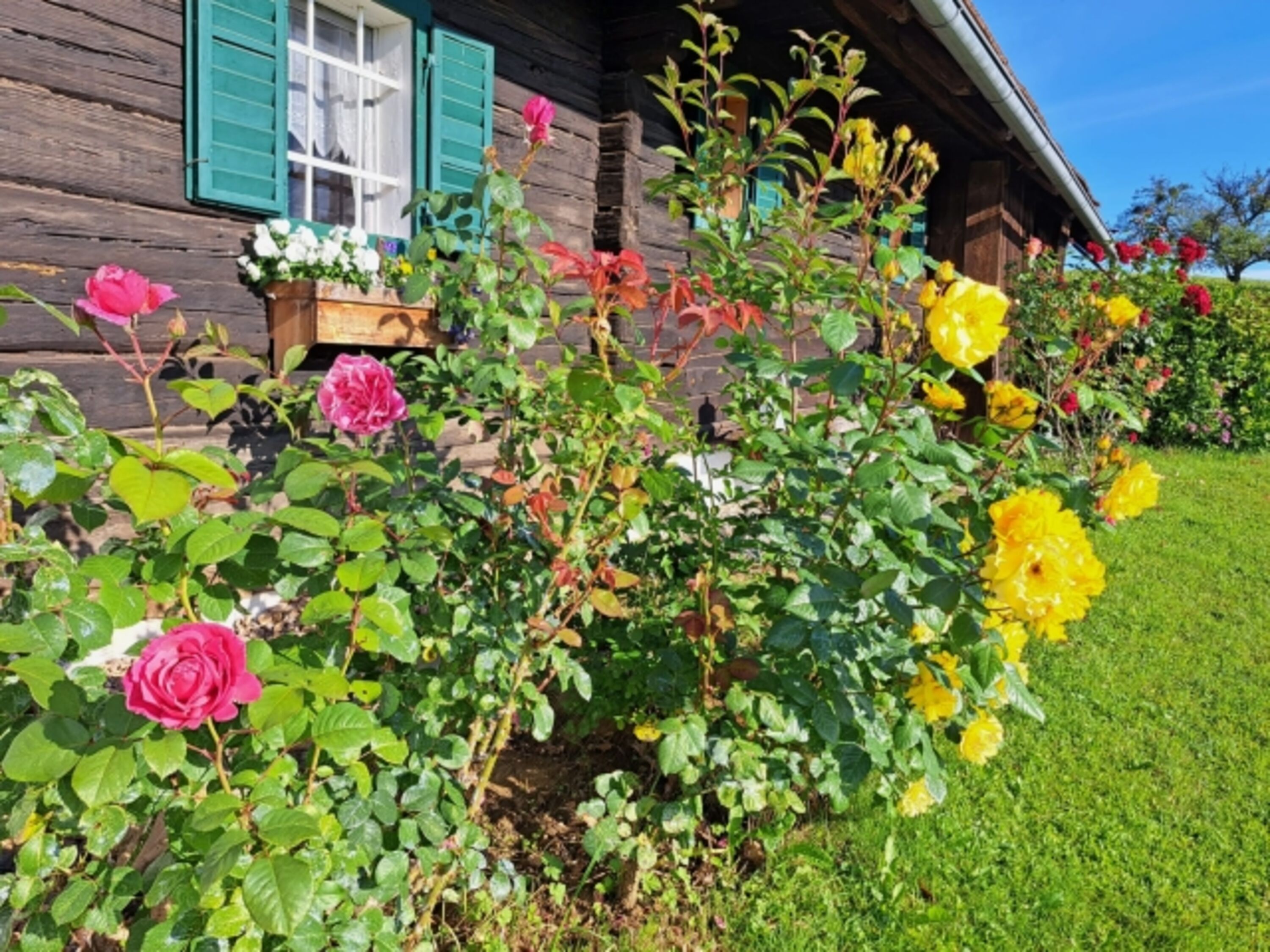 Bild 14